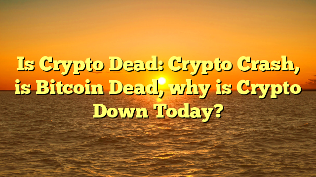 Is Crypto Dead: Crypto Crash, is Bitcoin Dead, why is Crypto Down Today?