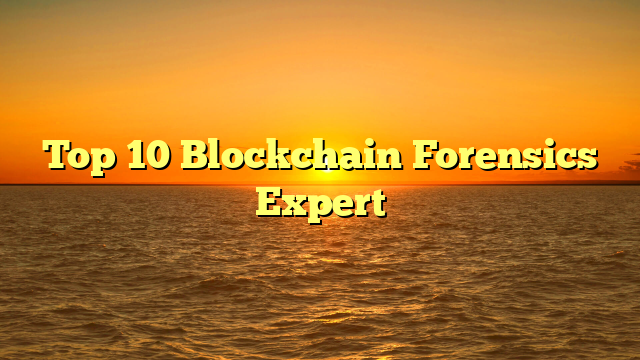 Top 10 Blockchain Forensics Expert